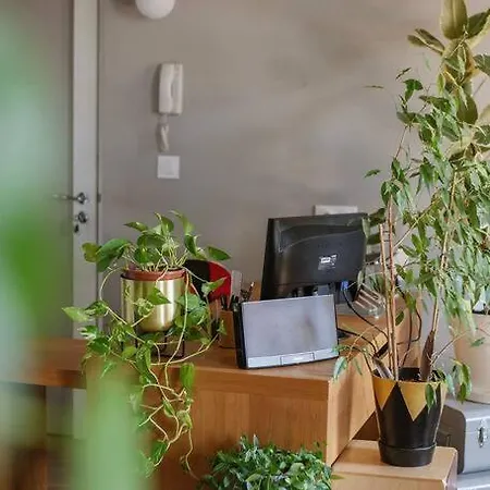 Jungle Urbaine - Loft Verdoyant En Centre-ville *