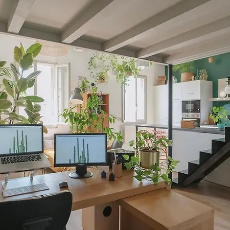Jungle Urbaine - Loft Verdoyant En Centre-ville Apartment *