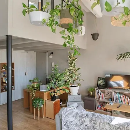 Apartment Jungle Urbaine - Loft Verdoyant En Centre-ville